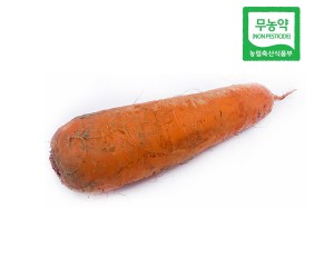 [맑은참]친환경 무농약 흙당근(특) 1kg